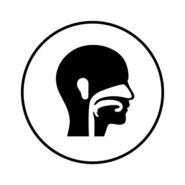 Cleomar Vieira Fonseca